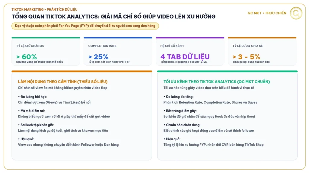 Tổng quan TikTok Analytics giải mã chỉ số giúp video lên xu hướng QC MKT
